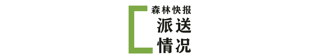 大森林物流