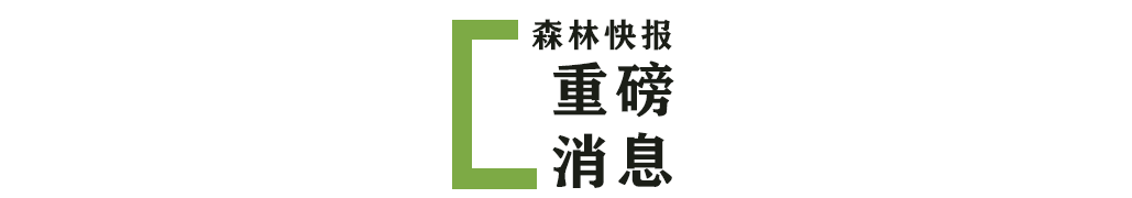 重磅消息